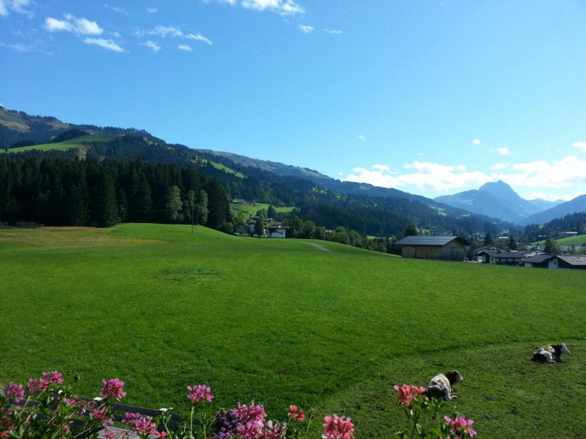 Hof Obertann Apartamento Kirchberg in Tirol Exterior foto